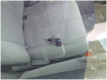 in-which-the-people-of-ft-worth-help-me-break-into-a-car