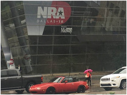 the-segway-tours-must-continue