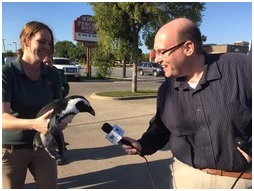 the-penguins-name-was-aloysius